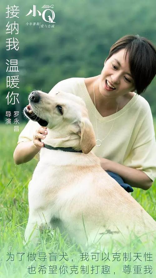 不动产权登记证明号和不动产权证号